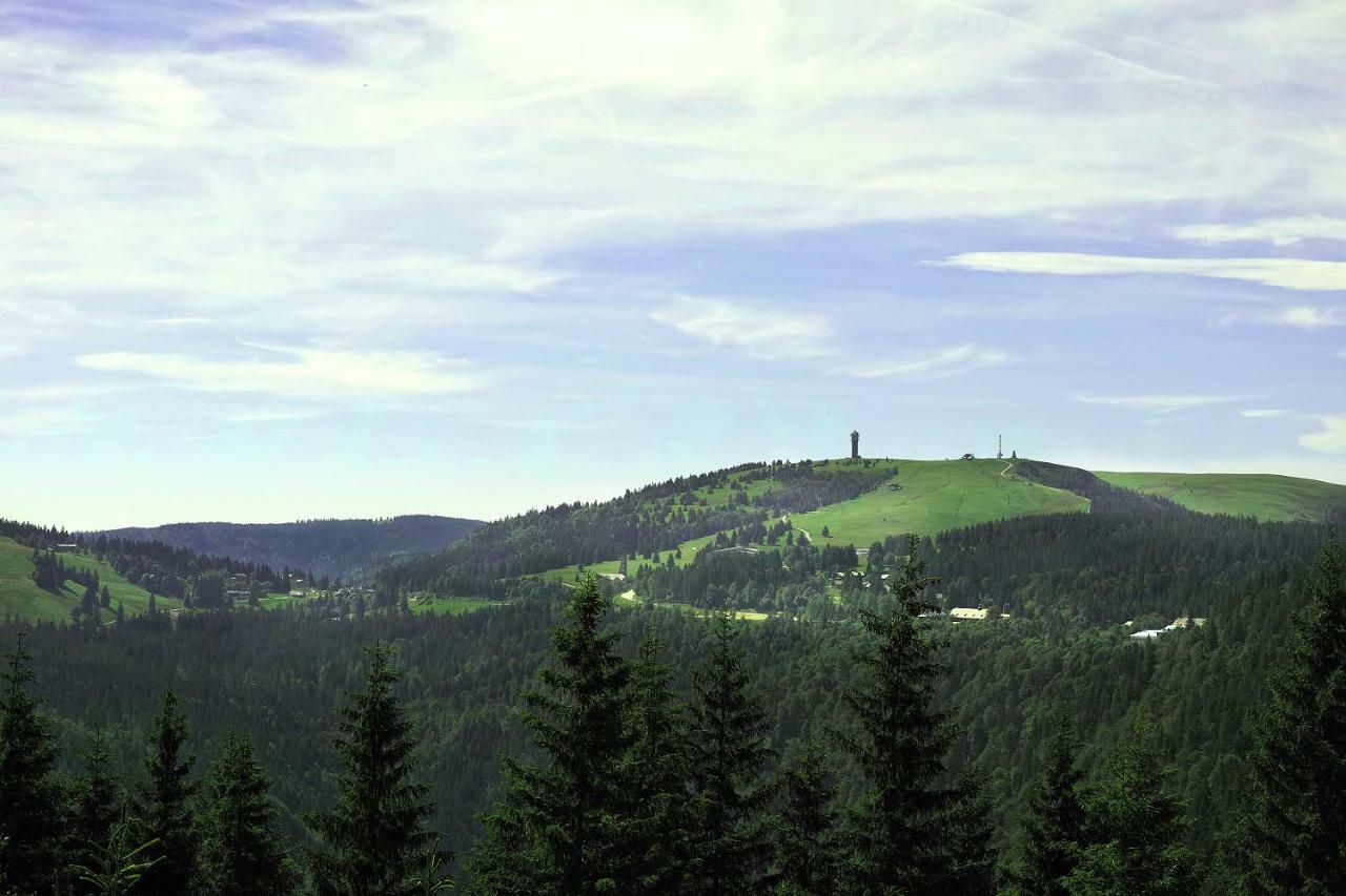 شقة B2 Albmatte Menzenschwand-Hinterdorf المظهر الخارجي الصورة