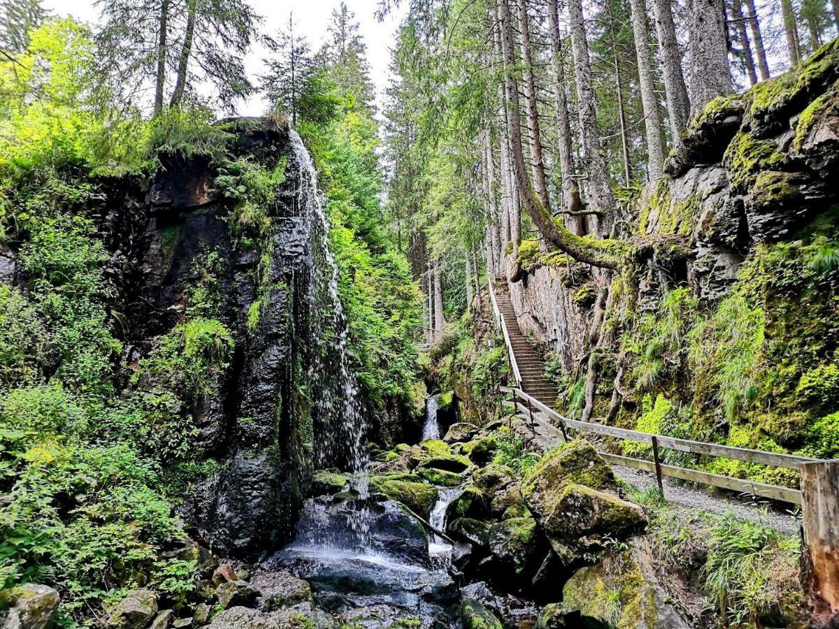 شقة B2 Albmatte Menzenschwand-Hinterdorf المظهر الخارجي الصورة